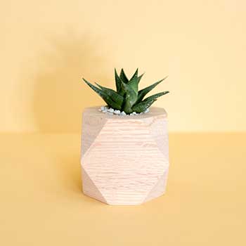 网页版短信攻击